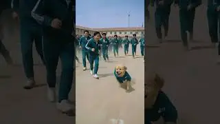POV: You're in a Squid Game but the Dog is Winning