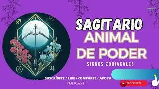 ANIMAL DE PODER o TOTEM ESPIRITUAL seg&uacute;n tu signo zodiacal SIGNO SAGITARIO | Zafiro Astral