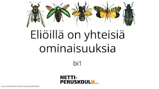 Biologia: Eliöillä on yhteisiä ominaisuuksia (perusopetus)