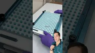 Oddly satisfying pill assembly