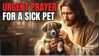 Miracle PET Healing Techniques Revealed