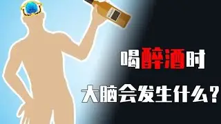 醉酒时大脑究竟发生了什么？详解各阶段酒精浓度对大脑的影响！【科普小姐姐】 #醉酒