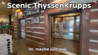 Cool Scenic ThyssenKrupp Hydraulic Elevator - Bass Pro Shops - Bolingbrook, IL