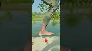 Sepatu Kets vs GigiBermata