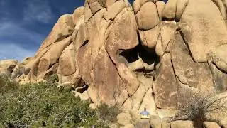 feeltone Monolina Monochord in D – Sound Demo & Nature Inspiration in Joshua Tree with rock face 🌵✨