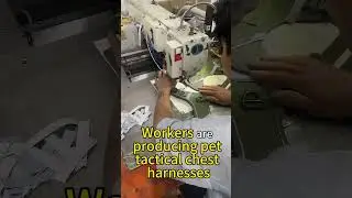 Pet products direct sales factory with global shipment.WeCh+8619578128038  #pets#doglife #petshub