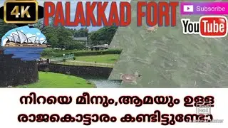 പാലക്കാടിന്റെ മുഴുവൻ സൗന്ദര്യം ഉൾകൊള്ളുന്ന കോട്ട കണ്ടോ #viralvideo #trendingvideo #Indianforts