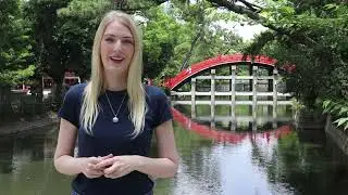 Help Leanne study dolphins: from Japan to Wales