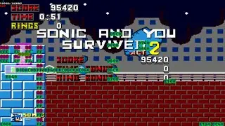 [TAS] Kaizo Sonic the Hedgehog in 25:14 - CamHack + Solidity Display