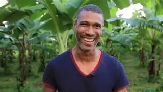 Portrait d'un technicien agronome au Cirad : Steewy Lakhia