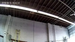 2018-08-10 Pigeon @Car Boy Auto Repair - Testing