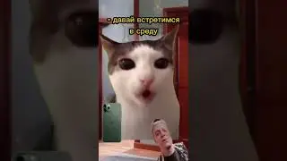 #мем #rtxoff #memes #юмор