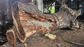 Giant Trembesi Monster Attack ‼ The Most Terrifying Sawmill Scene Ever