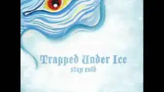 Trapped Under Ice - Reality Unfolds