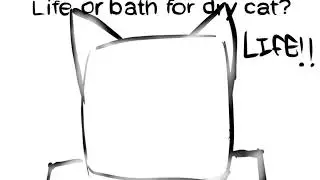 Life or bath for LITE cat? ( skybox entity lab )