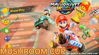 Mario Kart World Mushroom Cup All Races
