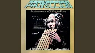 La Música Calma Mi Dolor