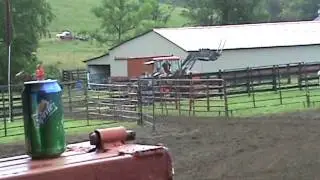 Sis Ta Fame at low gap Clements Qurater Horses