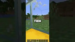 Live Inside of a Shulker
