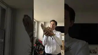 Луговая собачка УАУУУУУУУУ!