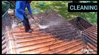 Roof cleaning