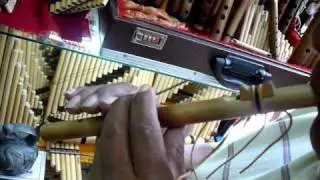 Small Ramos American native flute
