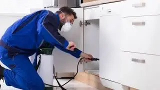 Local Pest Control Liverpool