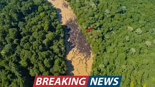 Drone Crew Captured a Massive Anaconda Nest In Amazon River and Video Instantly Broke the Internet!