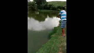 Tamba no fly -taubat&eacute;