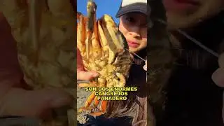 Caught a giant bread crab.#fishing #fish #funny #fyp