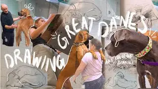 drawing dogs at my art school?!! | sheridan animation | life drawing