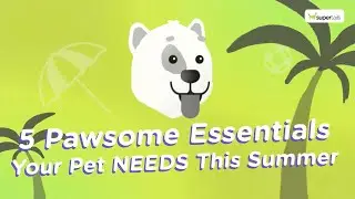 Beat the Heat! 5 Pawsome Essentials Your Pet NEEDS This Summer ☀️