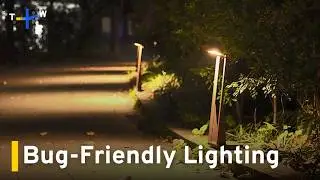 Softer Lighting Protects Bugs at Taipei Botanical Garden | TaiwanPlus News
