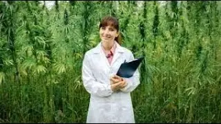 GRWG, TCNNF, IIPR,  3 MJ Stocks to Buy and Hold for the Next 10 Years