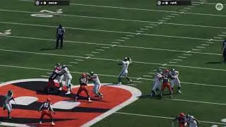 Bengals Jets
