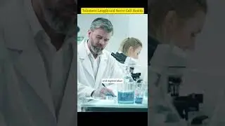 Telomere Length and Nerve Cell Health #health #aging #antiaging #astragalus #telomerase #telomere