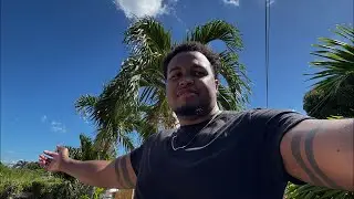 Chill Day In Jamaica 🇯🇲