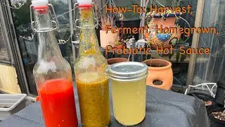 How-To: Lacto-fermented Hot sauce - Home Grown