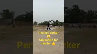 Perfect Yorker tape ball cricket #shortsvideo #cricket #reveal #shorts #shortvideo #short #yorkers