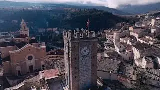 Palena