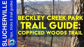 Beckley Creek Park Trail Guide: Coppiced Woods Trail