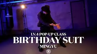 MINGYU Choreography (LV.4) | Mike Jay - Birthday Suit