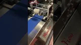 How Date Fruits Are Packaged: MiniFlow 400 Workflow Demonstration