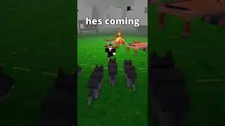wolfs life lol