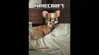 My Dog In Minecraft By AI #minecraftai