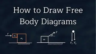 How to Draw Free Body Diagrams