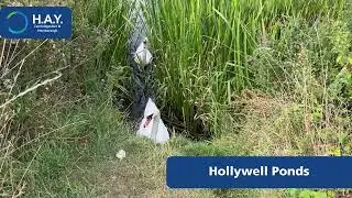 Take a look around Hollywell Ponds in Longthorpe