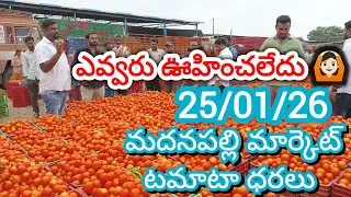 25/01/26 Madanapalle Tomato Market Price Today || Today Tomato Market Rate In Madanapalle #today
