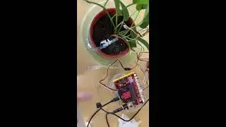 reka bit automatic water plant 