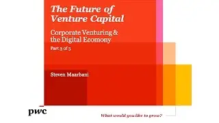Corporate Venture Capital Briefing - Steven Maarbani - Part 3/3